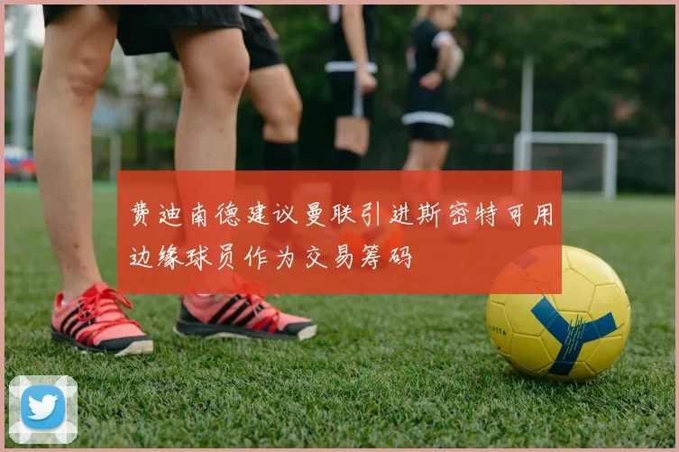 费迪南德建议曼联引进斯密特可用边缘球员作为交易筹码